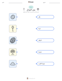 معاينة ورقة العمل القابلة للطباعة جزر التوابل