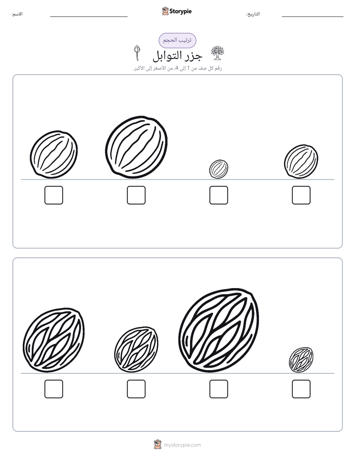 ترتيب الحجم