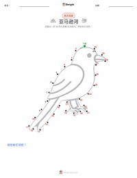 亚马逊河 可打印工作表预览