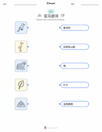 亚马逊河 可打印工作表预览