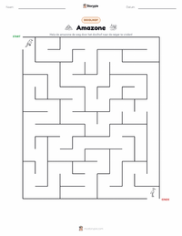 Amazone afdrukbare werkblad voorbeeld
