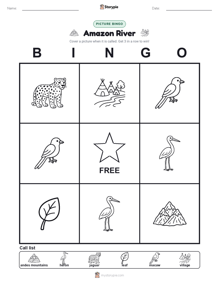 Picture Bingo