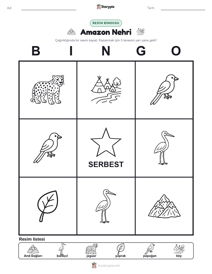 Resim Bingo
