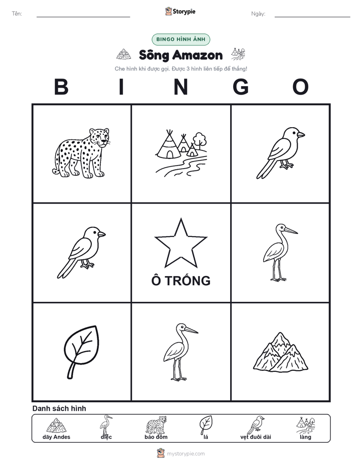 Bingo Hình Ảnh