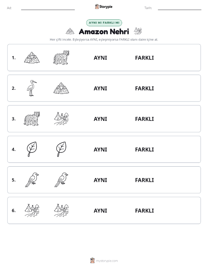 Aynı mı Farklı mı