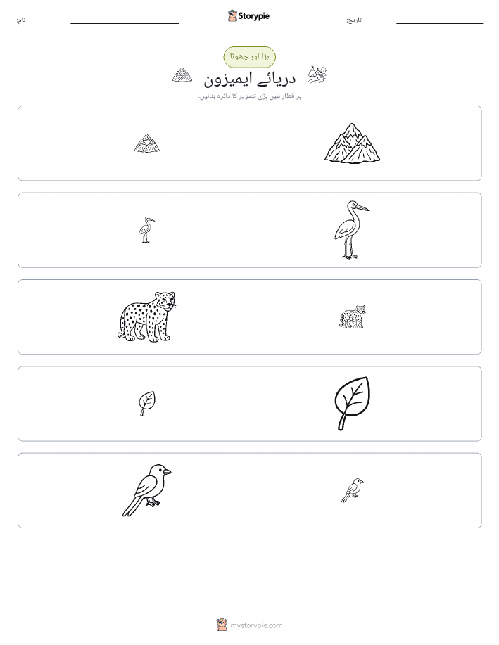 ترتیب دینا