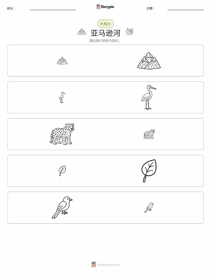 分类