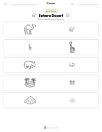 Sahara Desert printable worksheet preview