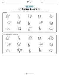 Sahara Desert printable worksheet preview