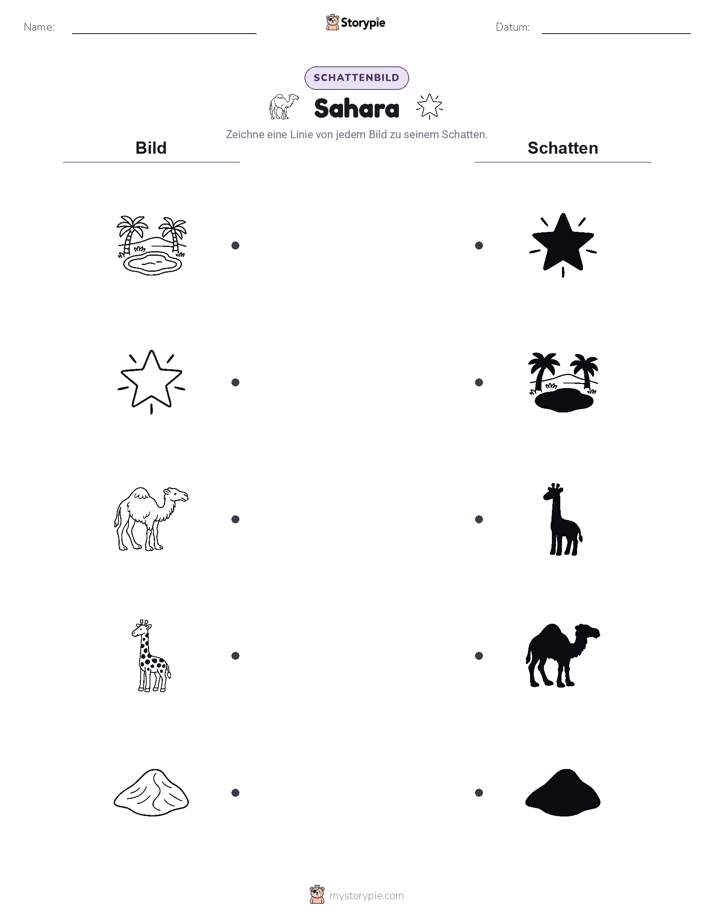 Schattenmatch