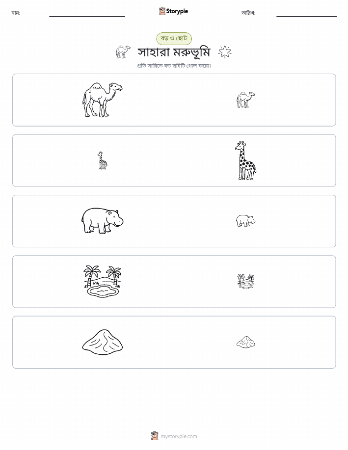 সাজানো