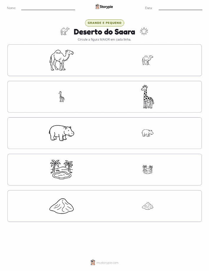 Classificação