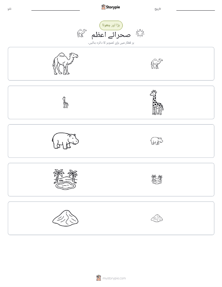 ترتیب دینا