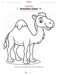 Dromedary Camel coloring page for kids