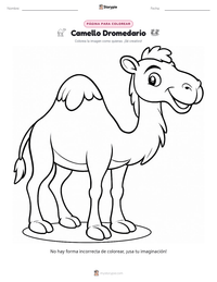 Página para colorear de Camello Dromedario para niños