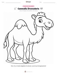 Pagina da colorare di Cammello Dromedario per bambini