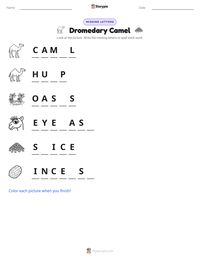 Dromedary Camel printable worksheet preview