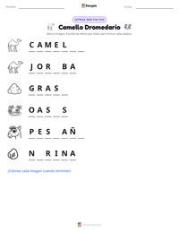 Vista previa de la hoja de trabajo imprimible de Camello Dromedario