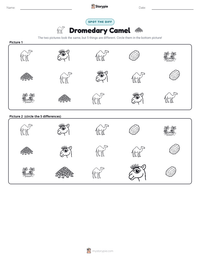 Dromedary Camel printable worksheet preview