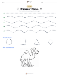 Dromedary Camel printable worksheet preview