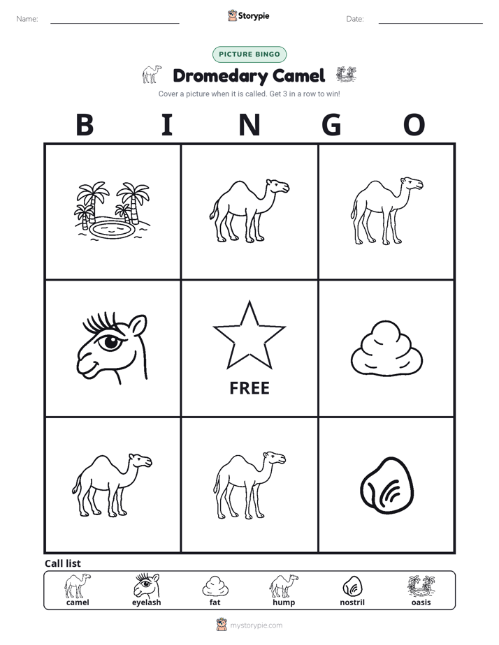 Picture Bingo