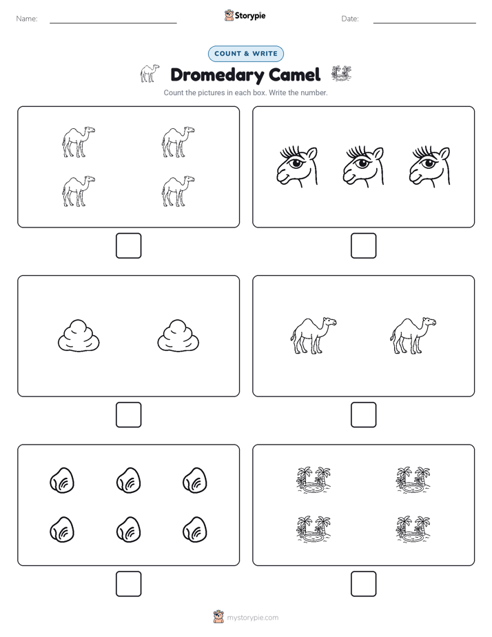 Count & Write