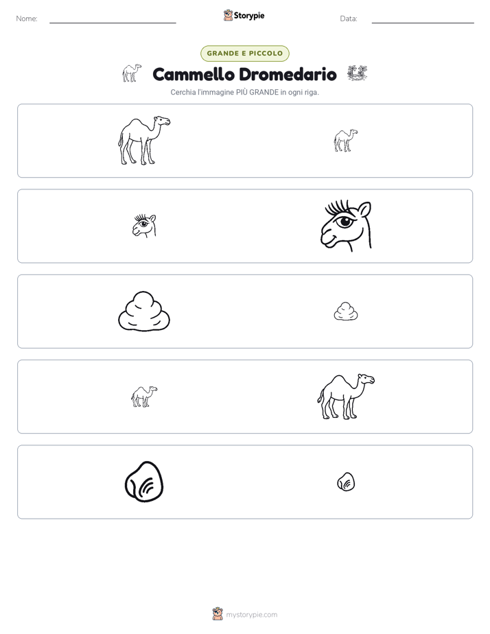 Ordinamento