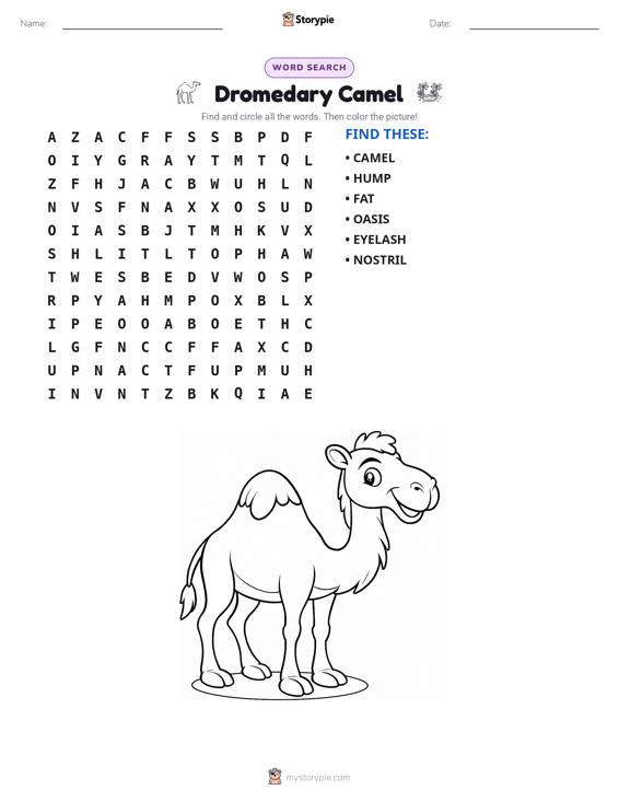Word Search
