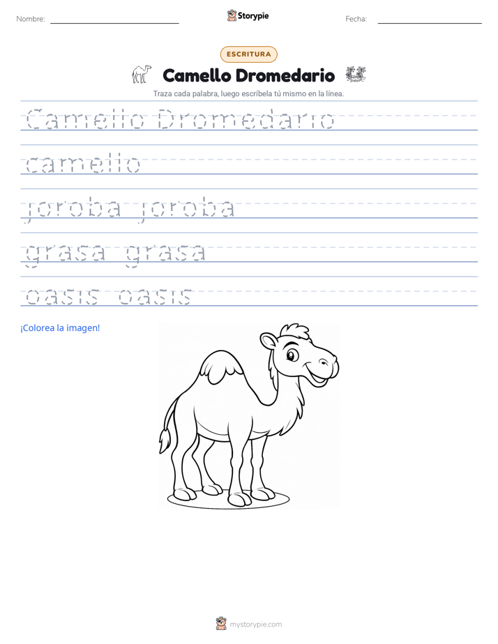 Práctica de Escritura