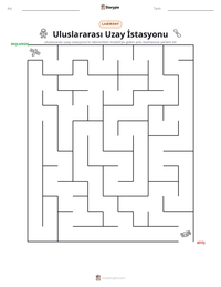 Uluslararası Uzay İstasyonu yazdırılabilir çalışma sayfası önizlemesi