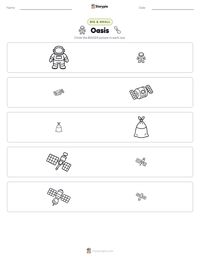 Oasis printable worksheet preview