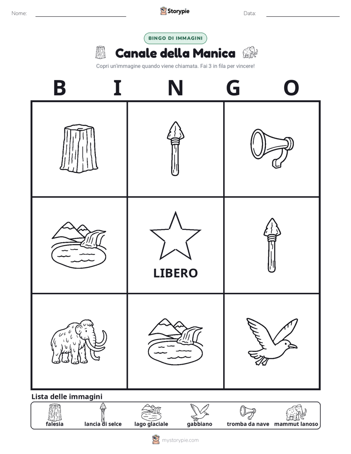 Bingo delle Immagini