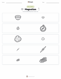 Magnetism printable worksheet preview