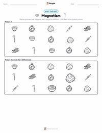 Magnetism printable worksheet preview