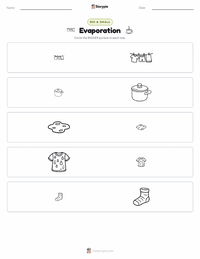Evaporation printable worksheet preview