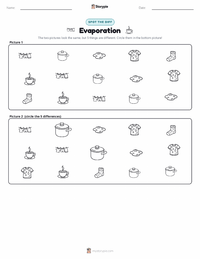 Evaporation printable worksheet preview