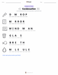 Condensation printable worksheet preview