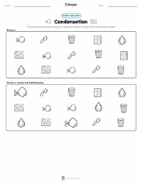Condensation printable worksheet preview