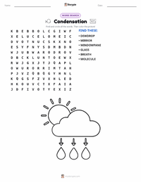 Condensation printable worksheet preview