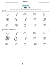 Dew printable worksheet preview