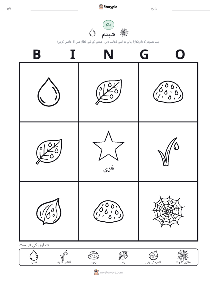 تصویری بنگو