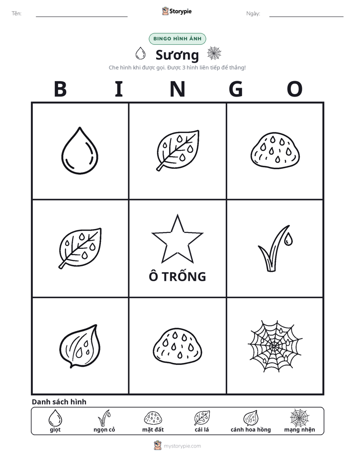 Bingo Hình Ảnh