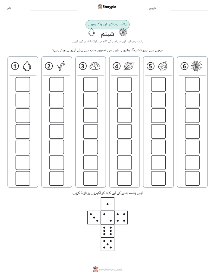 رول اور رنگ