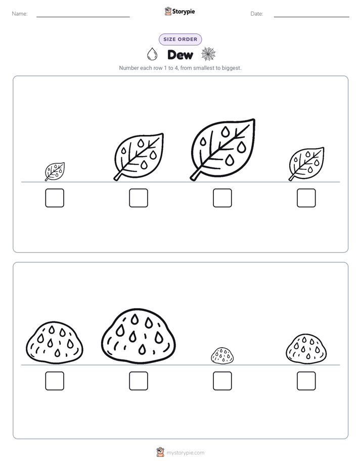 Size Order