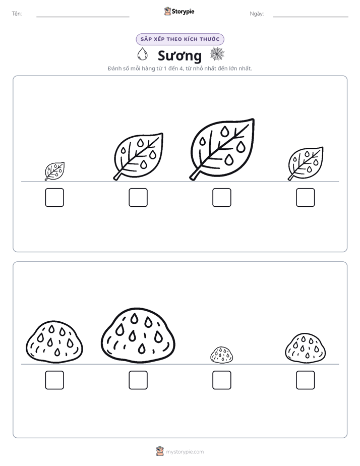 Thứ Tự Kích Thước