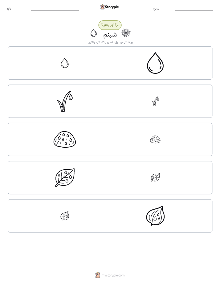 ترتیب دینا