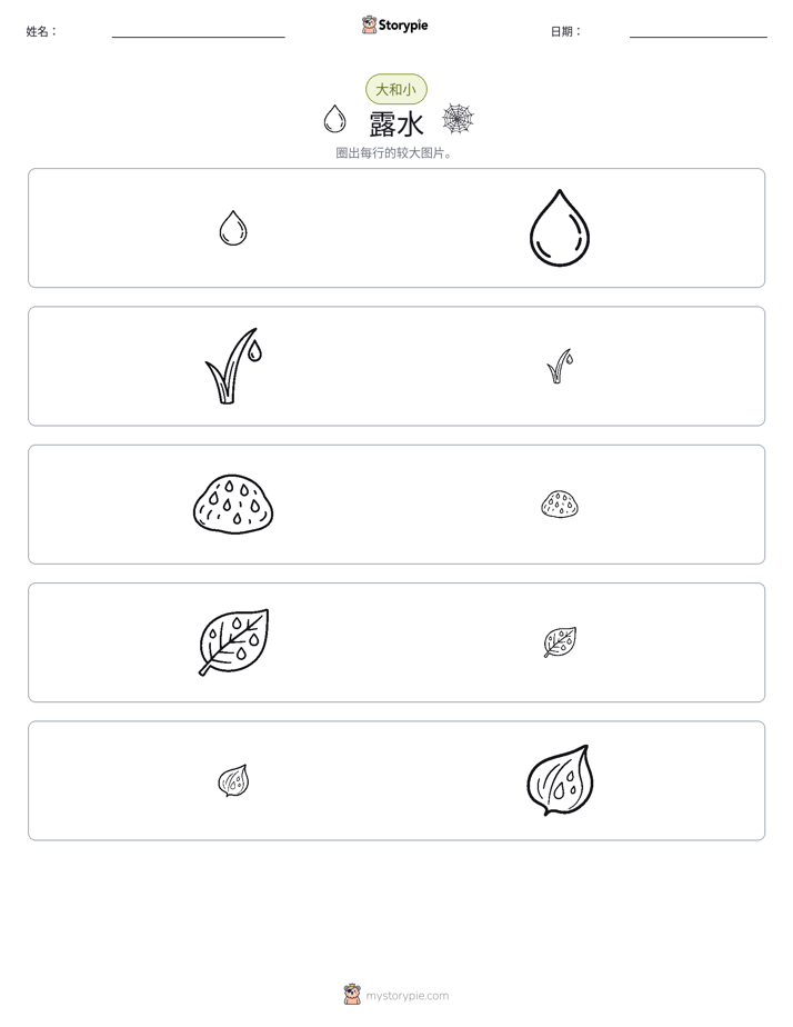 分类