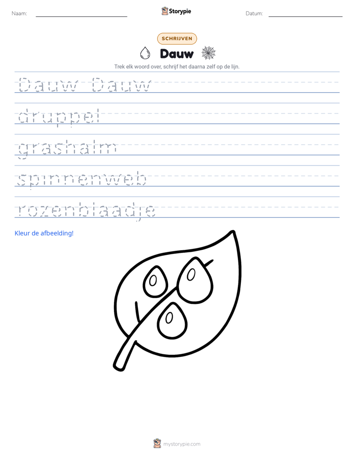 Schrijf Oefening
