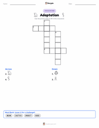 Adaptation printable worksheet preview