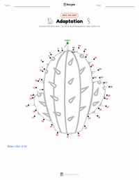Adaptation printable worksheet preview